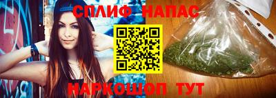 дживик Новозыбков